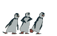 Pinguine20tanzen