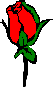 blume