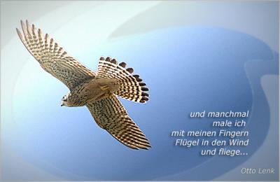 fluegel