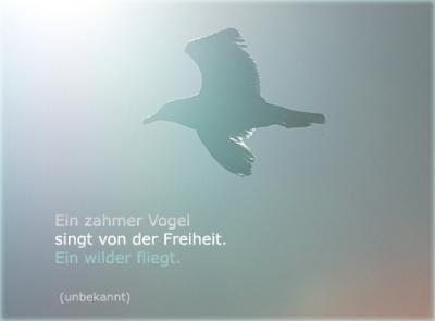 freiheit