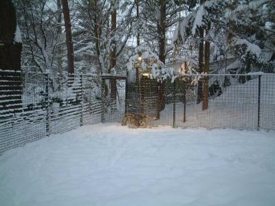 Mittlerer-Zwinger-Ecke-Christian