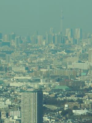 DSCN0662