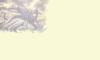 Drache-A
