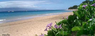 hawaii2
