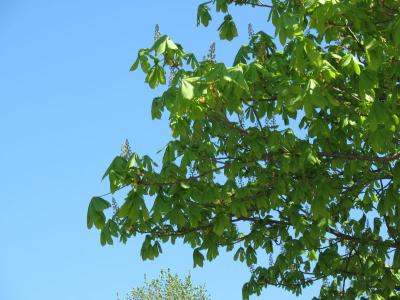 IMG_2353_small