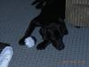 Jack-12-11-2007-bis-23-11-2007-050