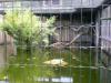 Hochwasser-2009