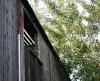 Turmfalkenfreilassung-1-5-