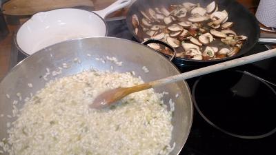 Reis-champignons-einzeln