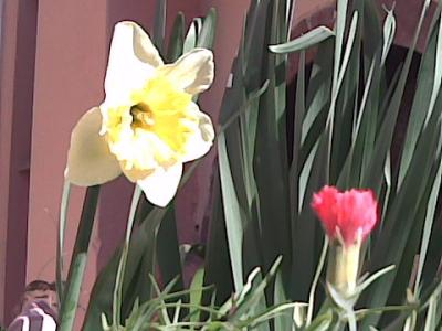 Bild004