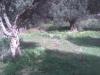 Bild005_2
