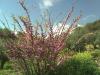 Bild005_3