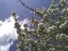 Bild006_1