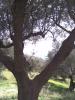Bild007_1