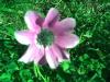 Bild011