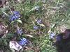 Bild0121