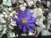 Bild013