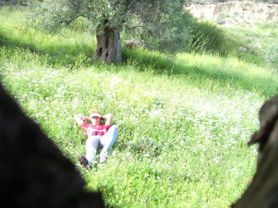 PIC00003