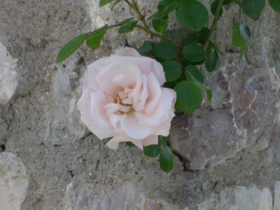 PIC000032