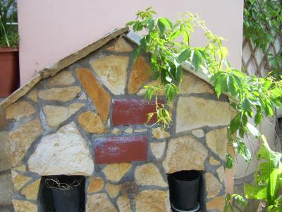 PIC000071
