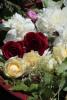 Hochzeit010