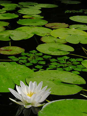 3322_DSCN2891