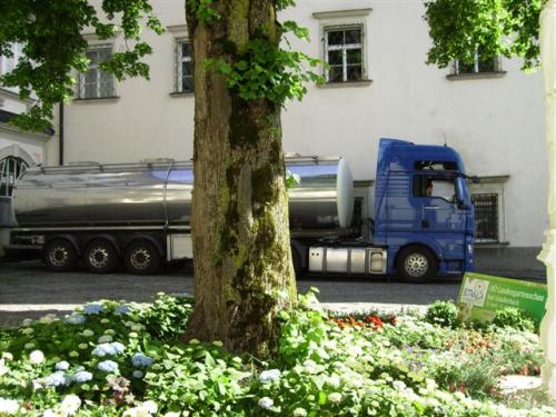 BILD3066-21