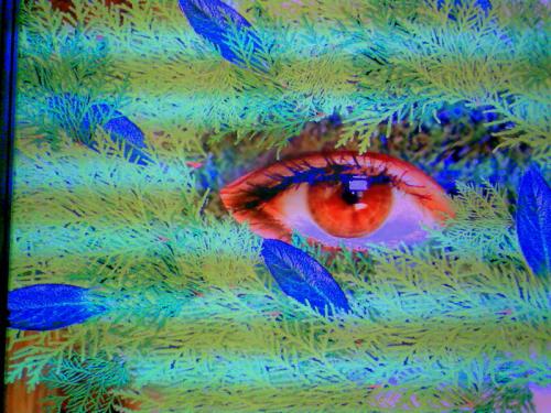 Bild011