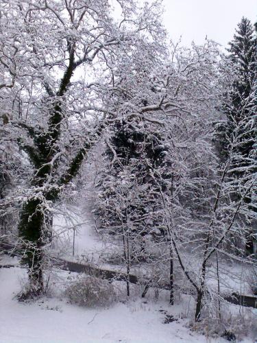 Bild046