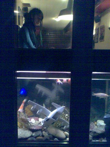 Bild0831