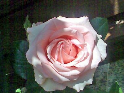 Bild103_edited1