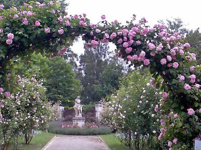 Bild129_edited1