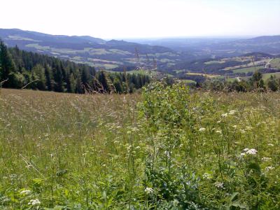Bild198_edited