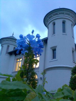 Bild216