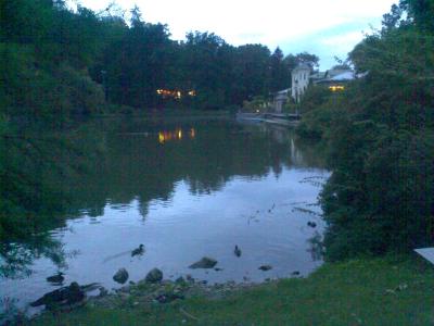 Bild218