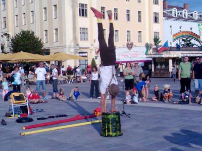 Bild248