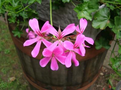 DSC00008