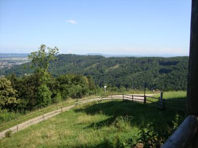 DSC00051