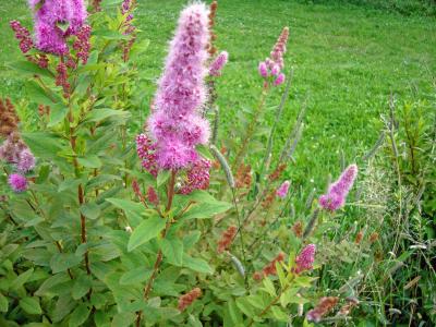 DSC00210_edited