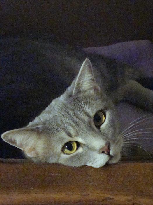 DSC003291