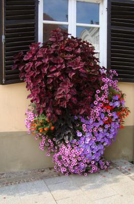 DSC00474_edited