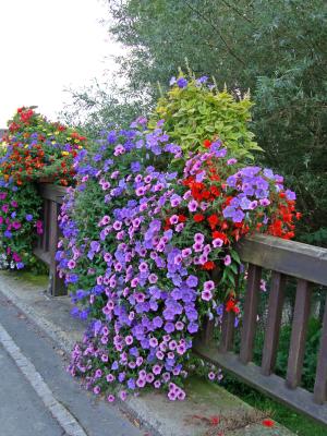DSC00476_edited