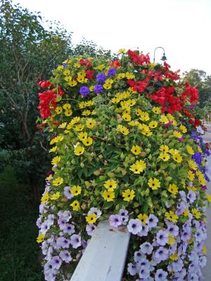 DSC00480_edited