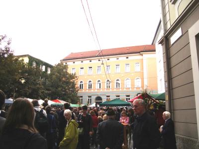 DSC006081
