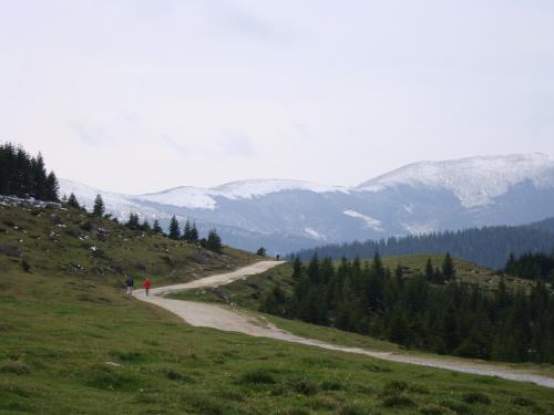 DSC00620