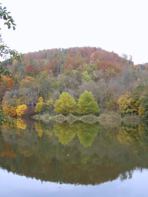 DSC00927