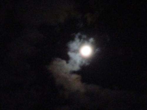 DSC01922
