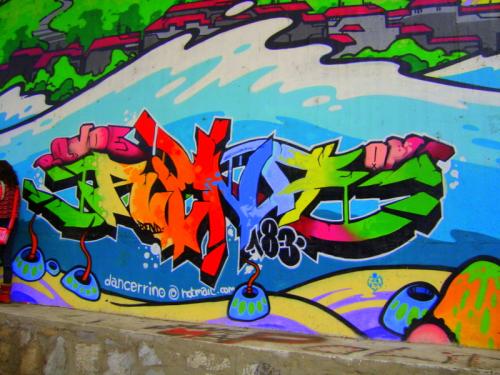 DSC01941