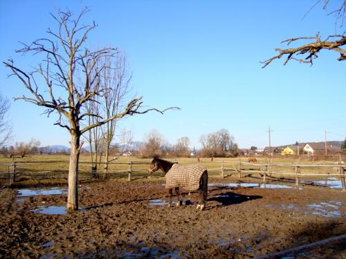 DSC01979