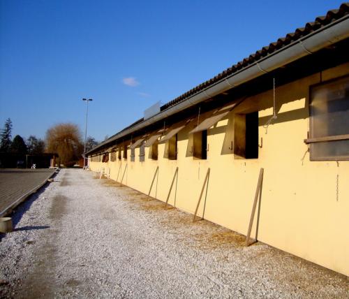 DSC01981-1